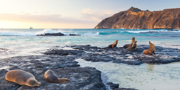 San Cristobal Island Galapagos